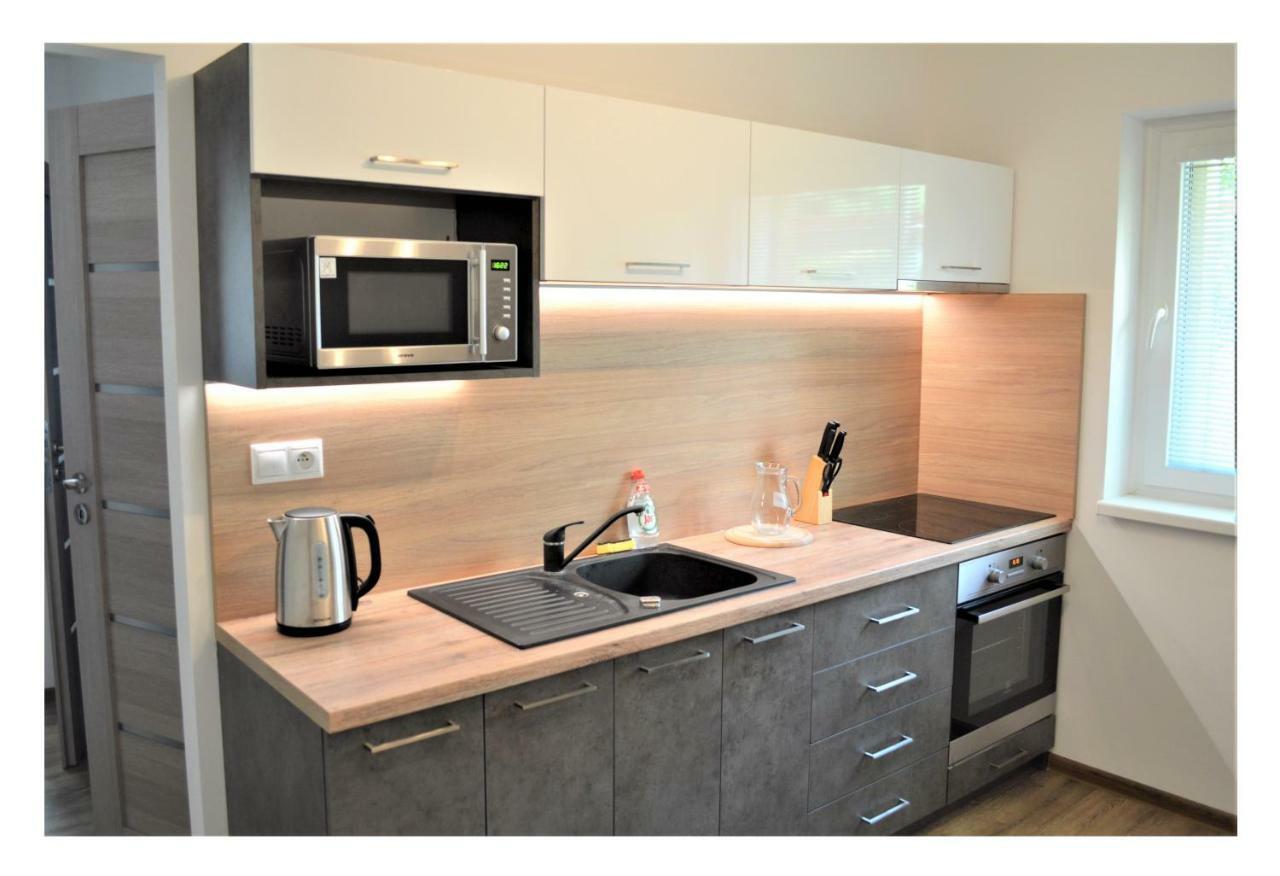 Sgl Apartments Lavickova Trenčín Екстериор снимка